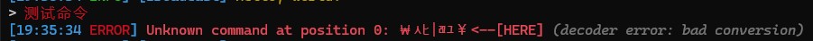 命令解析异常输出 (异常)